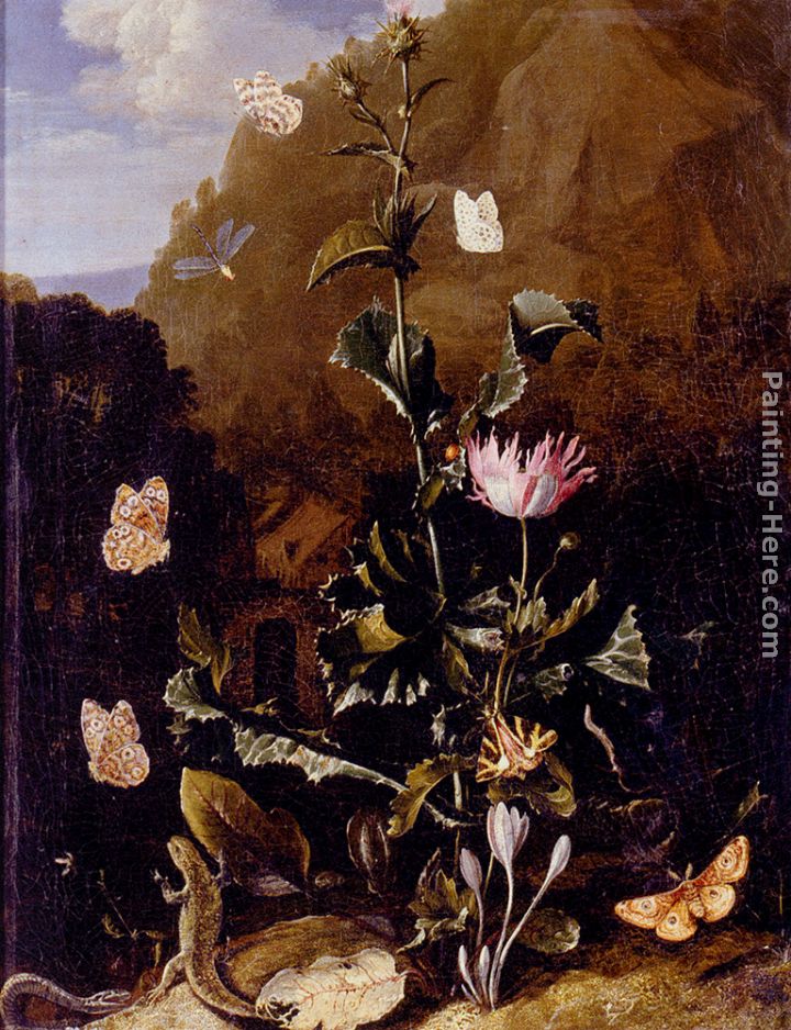 Still Life Of A Thistle And Other Flowers Surrounded By Moths, A Dragonfly, A Lizard, And A Snake, In A Landscape painting - Otto Marseus Van Schrieck Still Life Of A Thistle And Other Flowers Surrounded By Moths, A Dragonfly, A Lizard, And A Snake, In A Landscape art painting